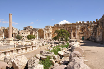 Fototapeta premium Baalbek; Lebanon