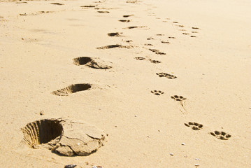 footprints in the sand