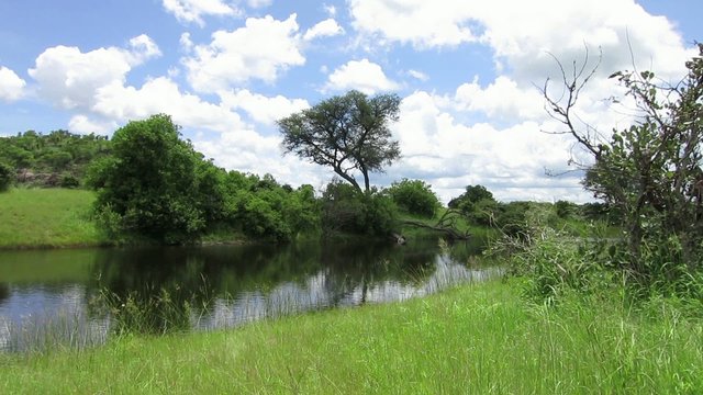 Nature in Africa