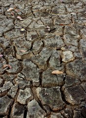 Dry soil and climate