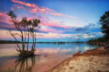 Fototapeta na wymiar Zachód słońca nad drzewa mangrowe