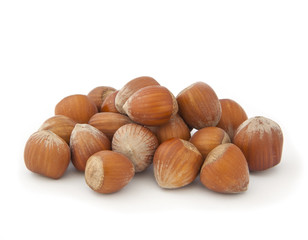 Hazelnut