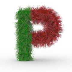 Kennzeichen Portugal haarig