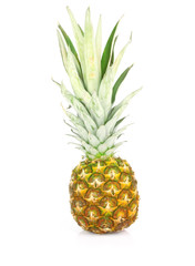 Fototapeta premium pineapple