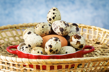 quail's eggs for easter time
