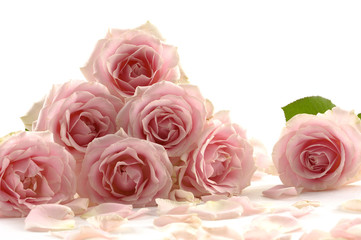 Fototapeta na wymiar Bouquet of roses with petal on white