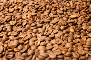 Coloured coffee texture. Coffee beans closeup