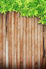 green leaves on the old wooden background