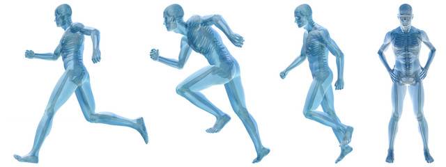 High resolution conceptual man anatomy