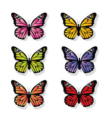 Obraz na płótnie Canvas kolekcja motyli