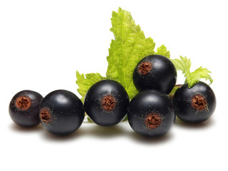 Currant berries ( blackcurrants) with green leaf isolated on whi