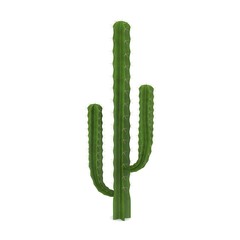 3d render of cactus flower