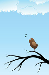 Bird singing song on tree branch