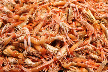 Des langoustines