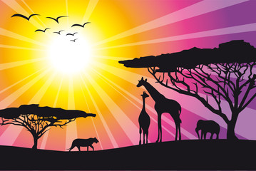 Africa animals © simo_cris