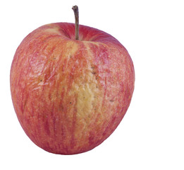 Der Apfel fällt nicht weit vom Stamm