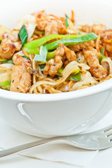 Teriyaki chicken with noodles and spring onions made in wok