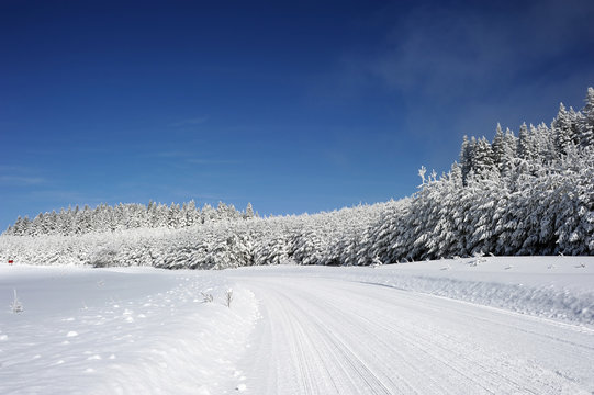 Fototapeta winter road