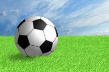 Football ball on green grass.