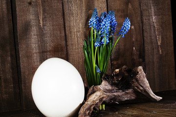 Traubenhyazinthe mit Strau&szlig;enei