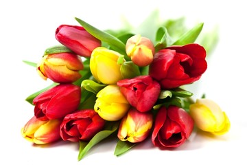 Tulpen