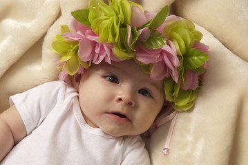 baby with a crown
