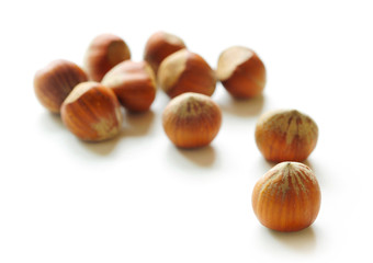 Hazelnuts on White Background