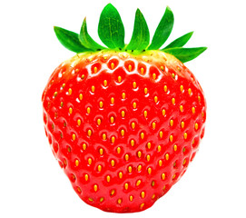 strawberry isolated on white background
