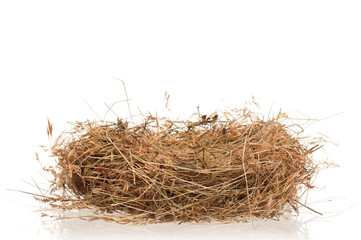 Nest of hay