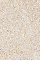 rice texture, background