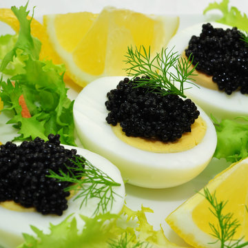 Schwarzer Kaviar auf gekochtem Ei