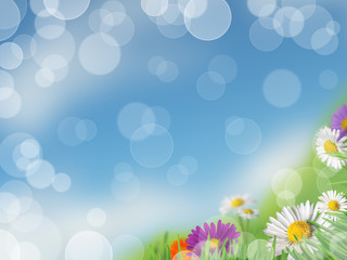 Fototapeta na wymiar Background with meadow and daisies