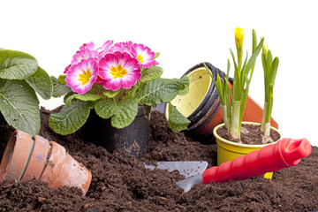 Gartenarbeit - Blumen pflanzen