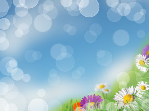 Background with meadow and daisies