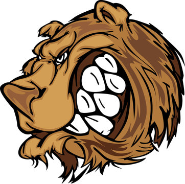 Bear Grizzly Mascot Head Vector Cartoon