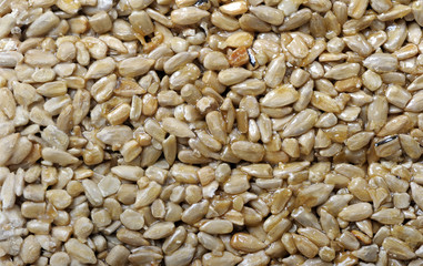 Sunflower seeds