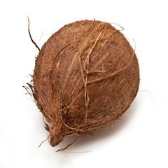 Coconut isolated on a white studio background.