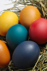 Bunte Ostereier auf Gras