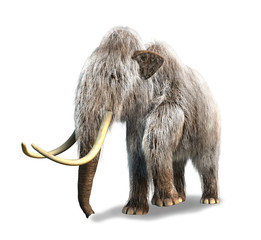 Obraz premium Photorealistic 3 D rendering of a Mammoth.