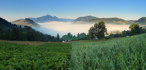 Beautiful summer mountains landscape with mis © TTstudio