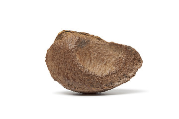 Fototapeta premium Whole single fresh Brazil nut