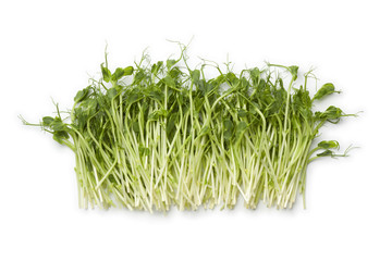 Fresh pea shoots