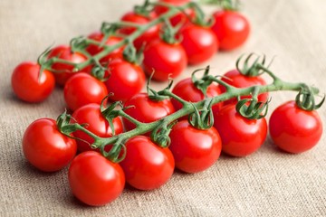 Tomatenrispe