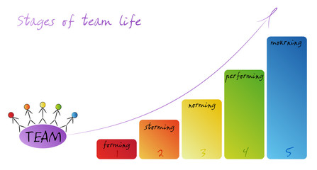 Stages of team life