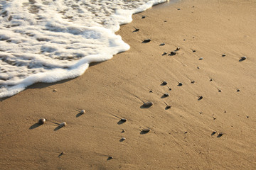 a background image of beach with pebble stone