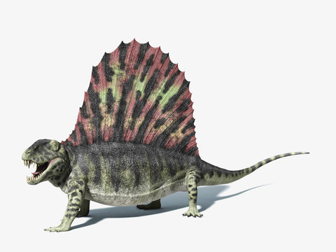 dimetrodon