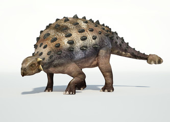 Photorealistic 3 D rendering of an Ankylosaurus.