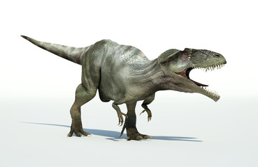 Photorealistic 3 D rendering of a Giganotosaurus.