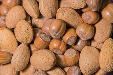 different type of nuts
