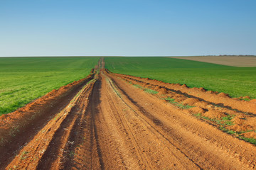 Fototapeta na wymiar The road through the green field